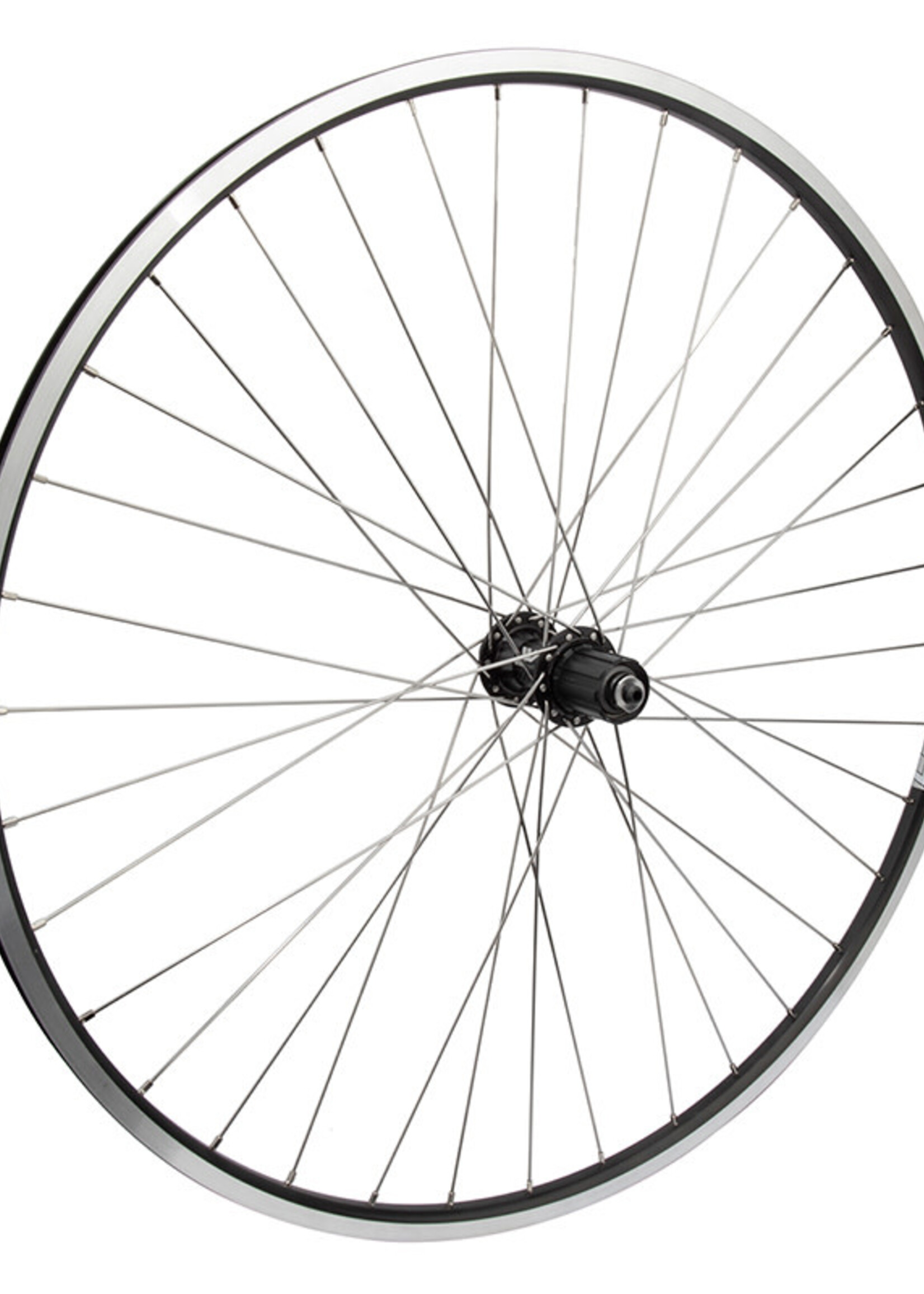 WHEEL MASTER WHL RR 700 622x14 WEI LP18 BK MSW 36 ALY 8-10sCAS BK QR 130mm DTI2.0SL