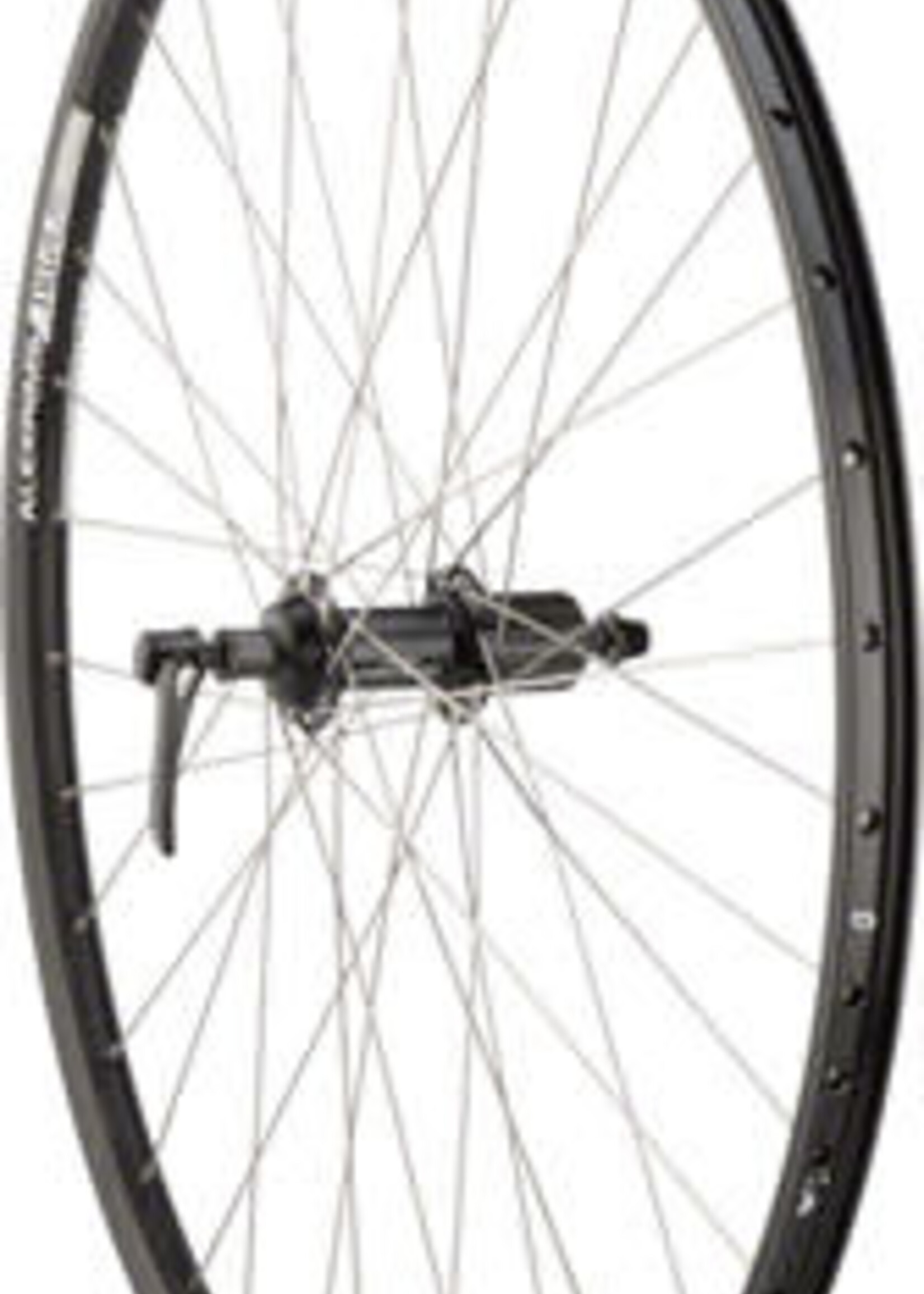 Quality Wheels Deore/DH19 Rear Wheel - 700 QR x 135mm Rim Brake HG 10 Black Clincher 36H