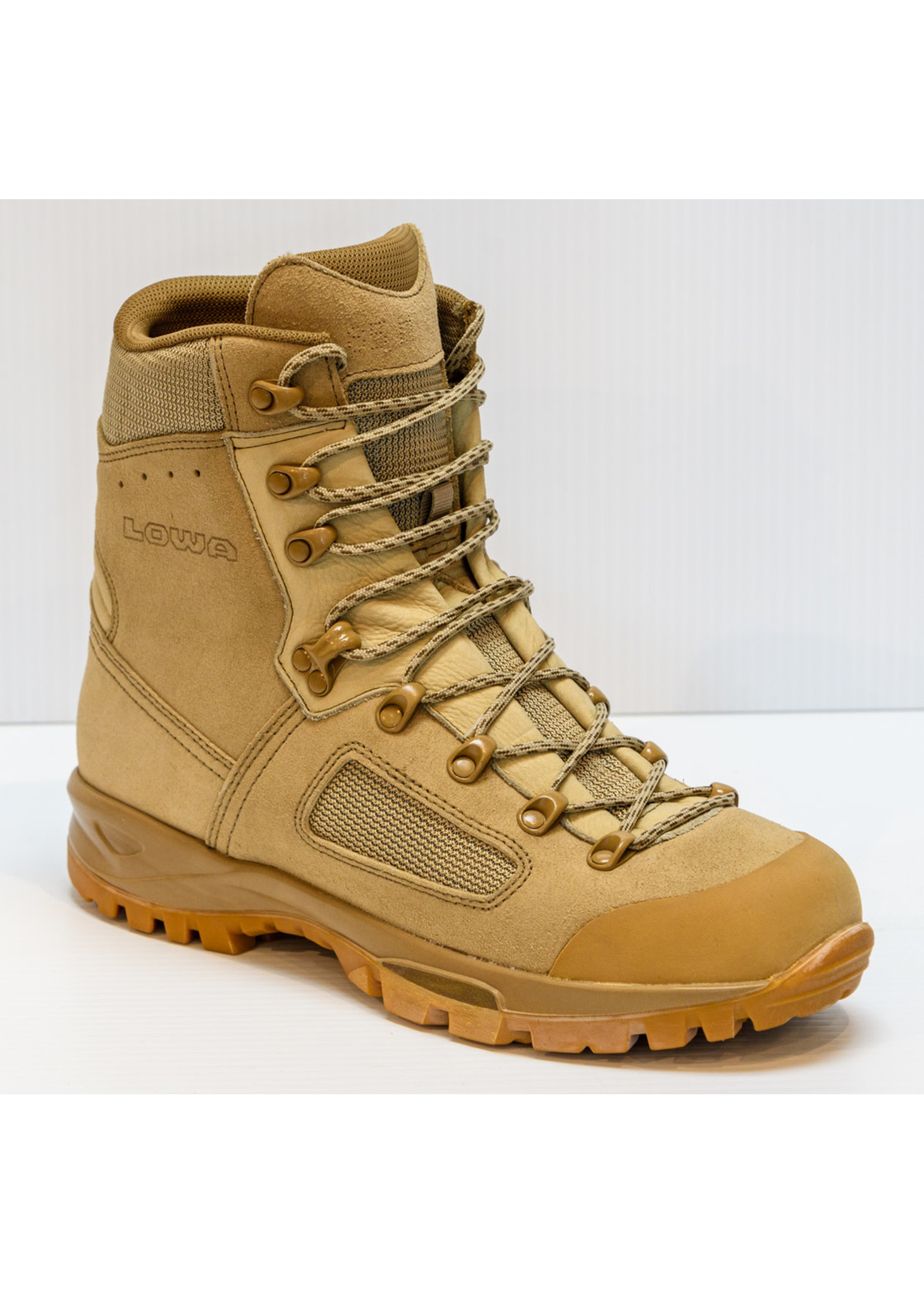 MEN'S LOWA ELITE DESERT GTX TASK FORCE BOOTS