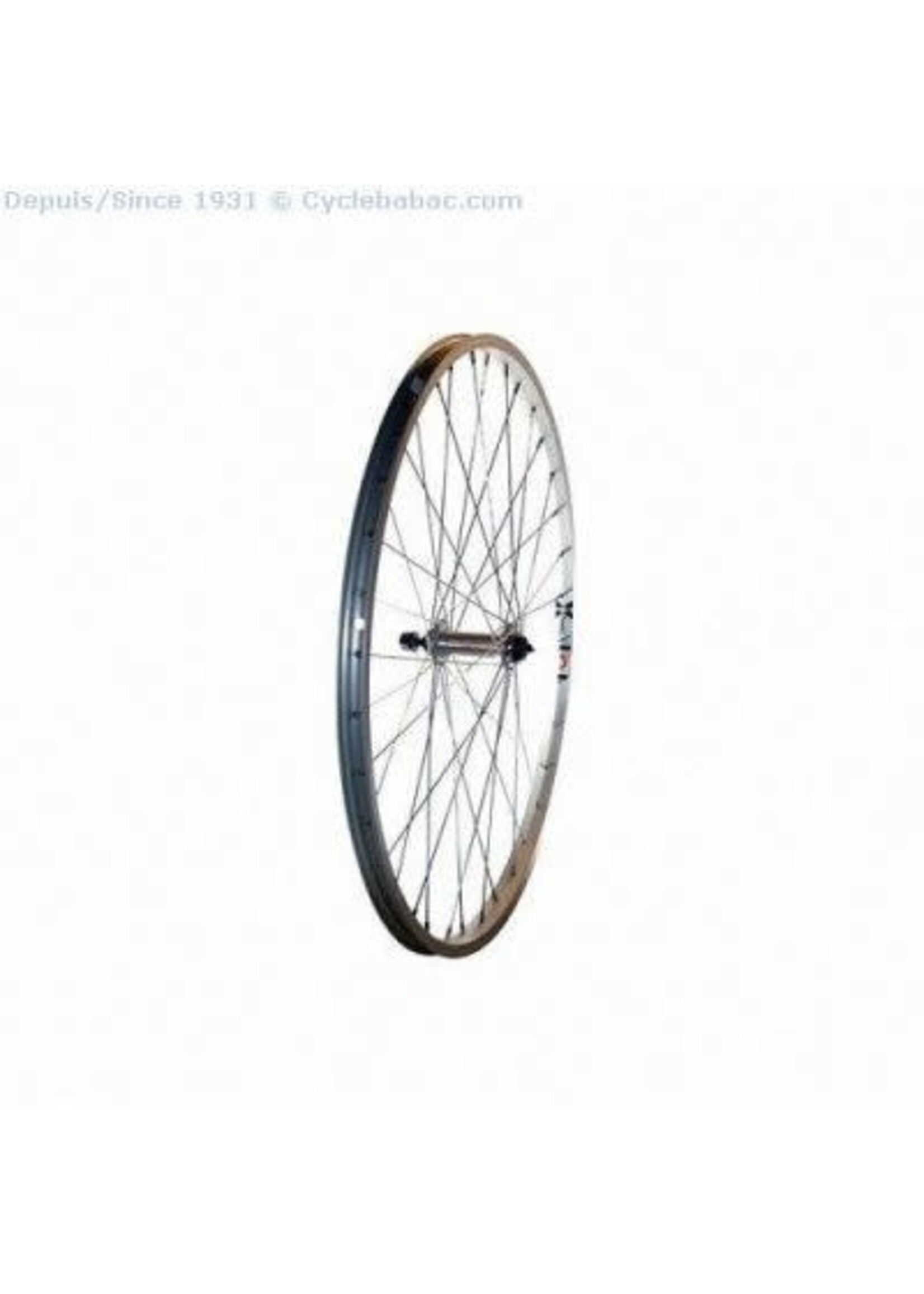 WHEEL - FRONT 24 BABAC 36H NUT SILVER