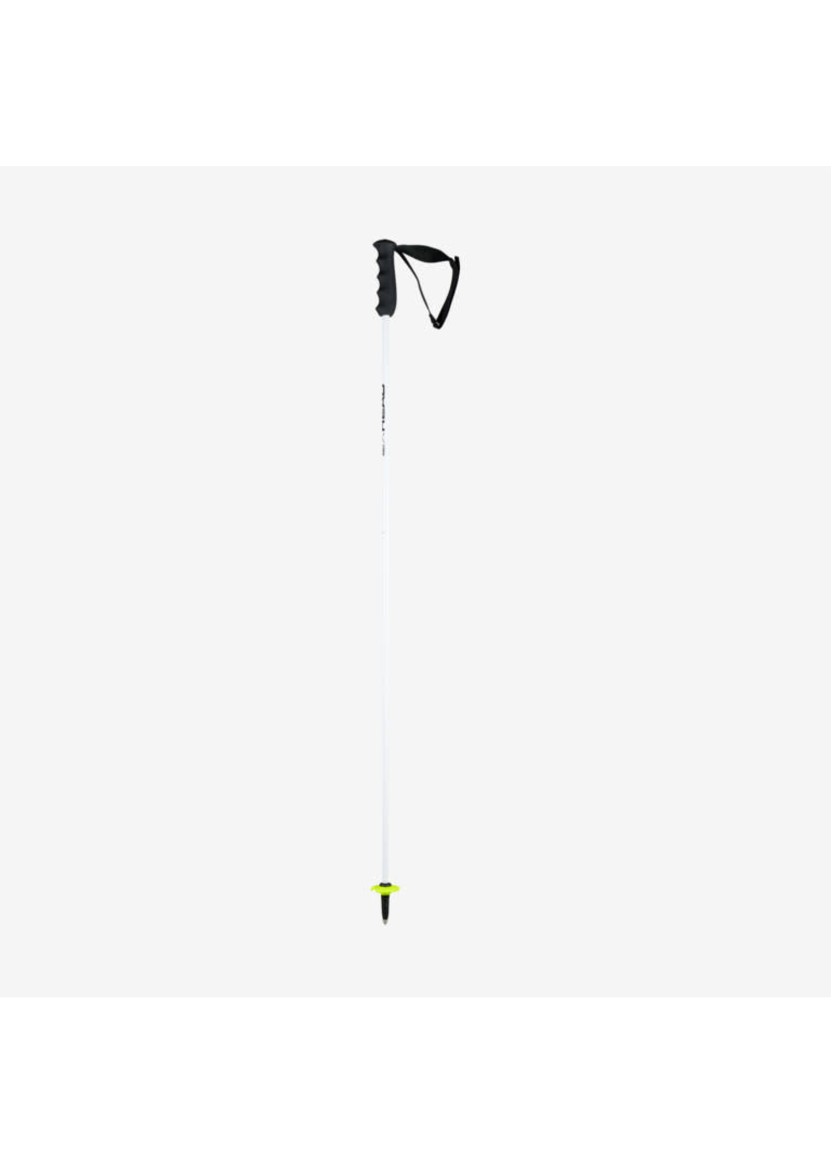 Bâtons De Ski HEAD Worldcup Rebels Carbon – Mixte – Léger, Pointe Carbure – Pour Coureurs Et Skieurs Experts