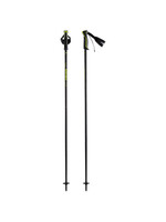 HEAD HEAD FRONTSIDE SKI POLES