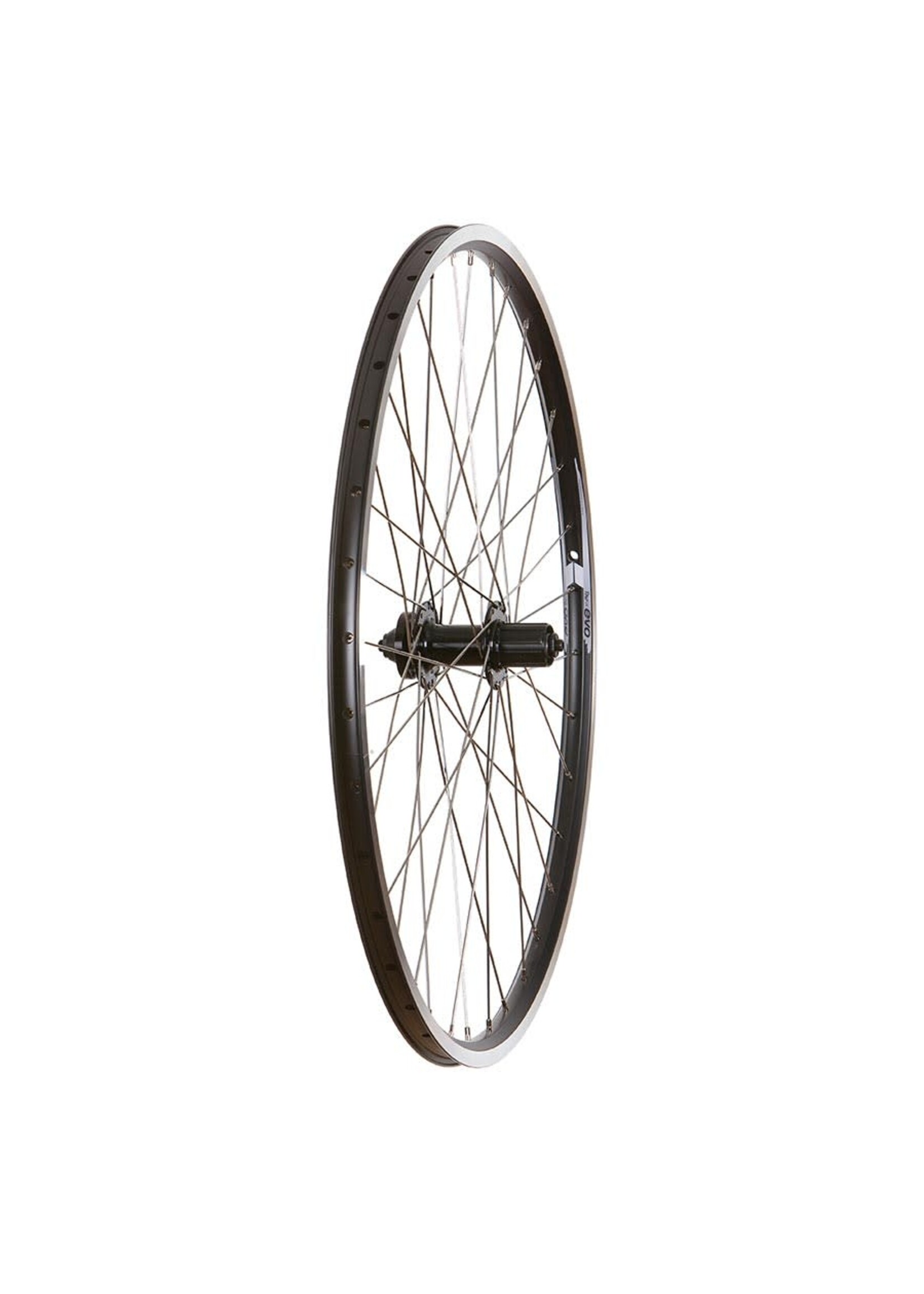 WHEEL - REAR 700C EVO TOUR 19 DC-22 36H QR