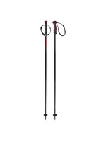 HEAD HEAD FRONTSIDE SKI POLES