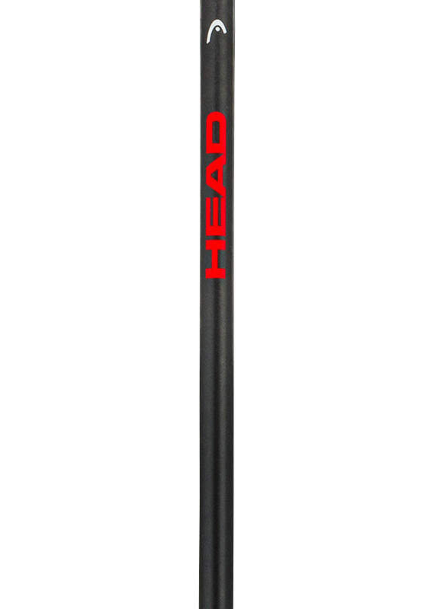 HEAD HEAD FRONTSIDE SKI POLES