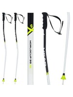 HEAD HEAD WORLDCUP SG SKI POLES