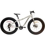 Fat Bikes