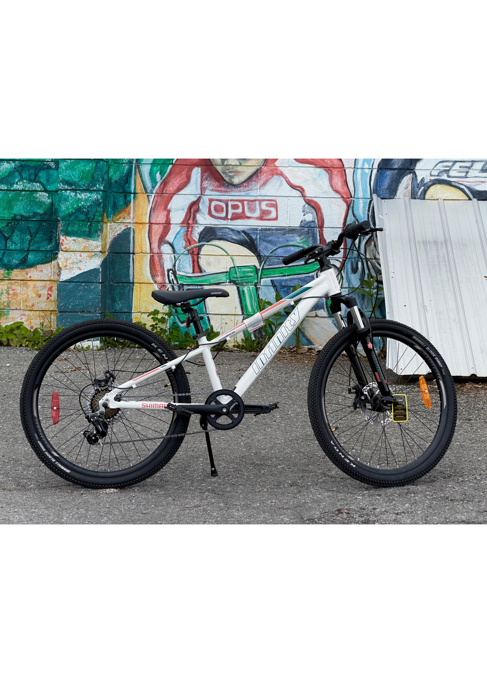 INFINITY DESTINEY 24" JUNIOR MOUNTAIN BIKE WHITE