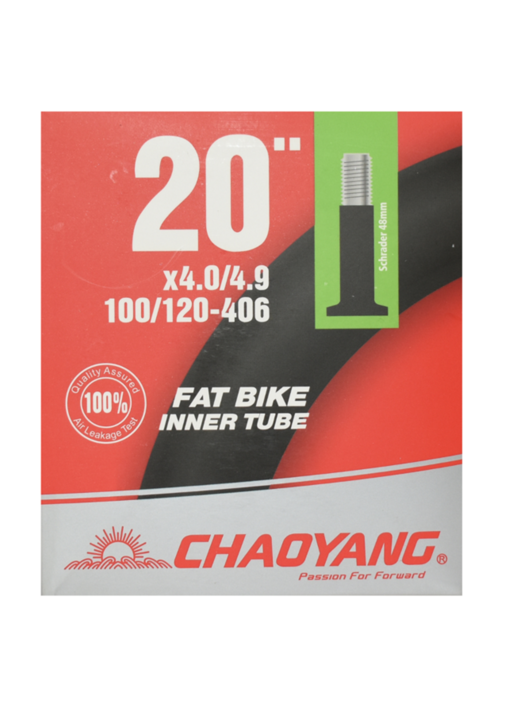 TUBE - SCHRADER 20x4.0-4.9 FAT BIKE