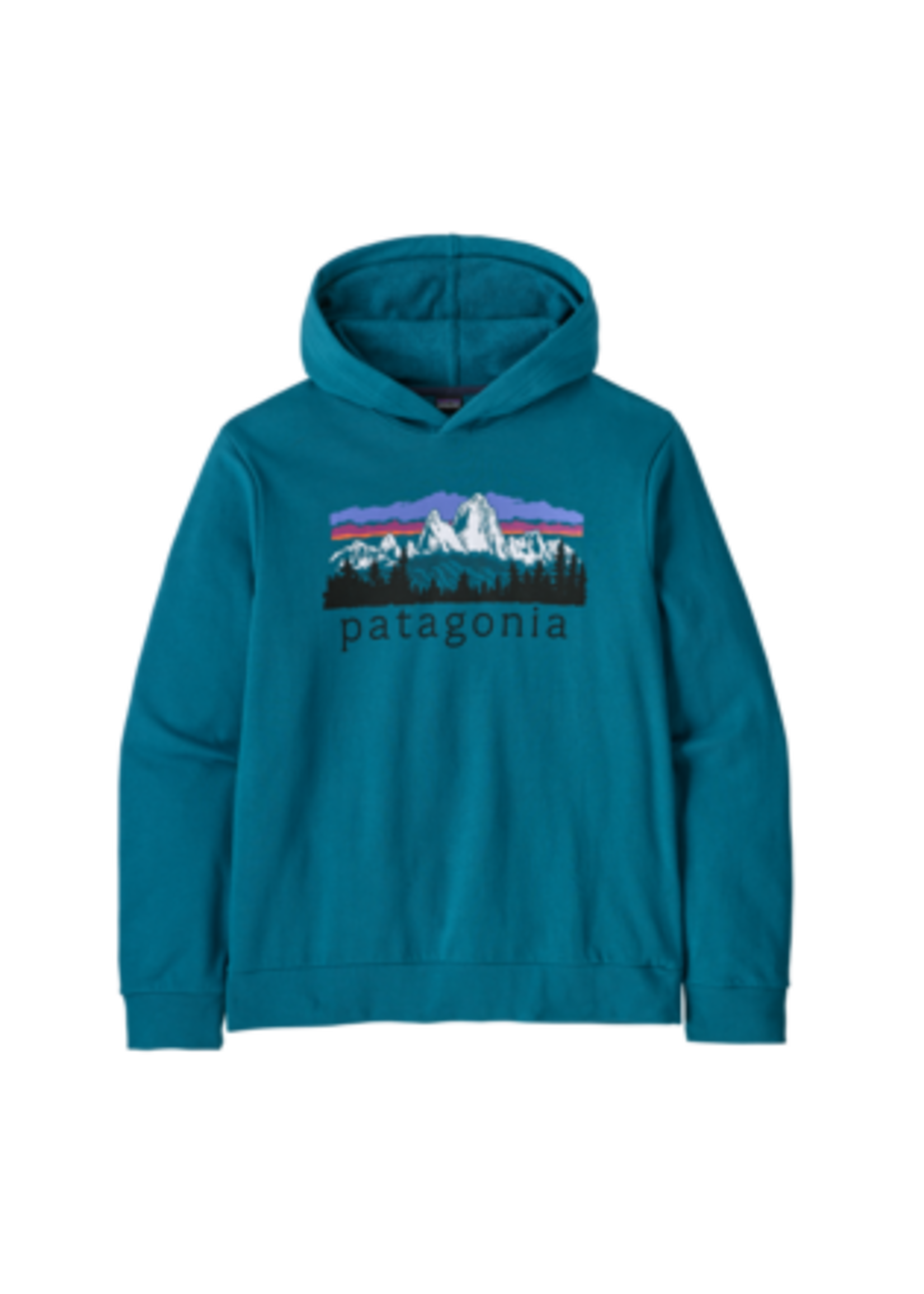 patagonia PATAGONIA MENS FITZ ROY FOOTHILLS DAILY HOODY