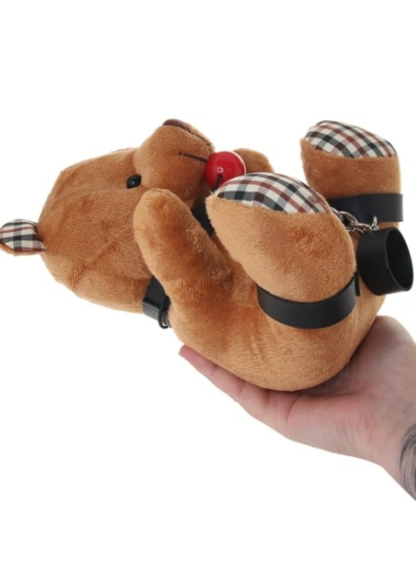 Master Series Gagged Teddy Bear