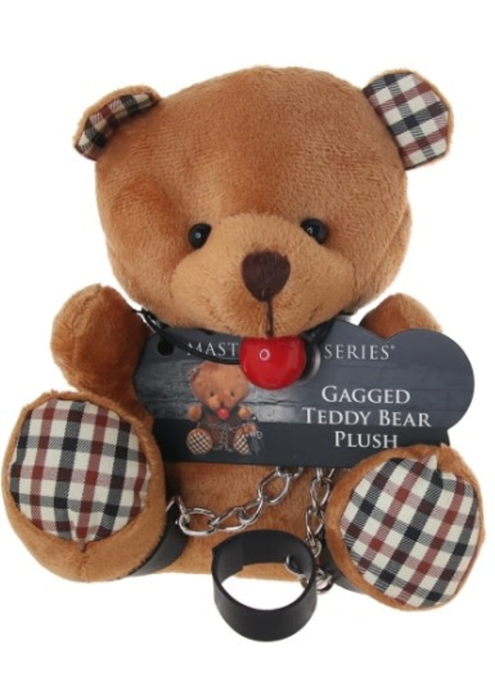 Master Series Gagged Teddy Bear