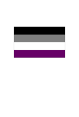 Pride - Asexual Flag 36” x 60”