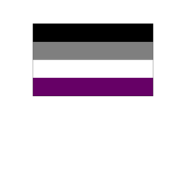 Pride - Asexual Flag 36” x 60”