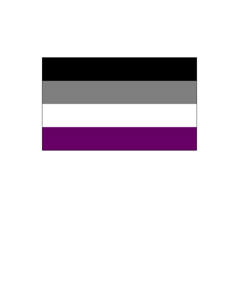 Pride - Asexual Flag 36” x 60”