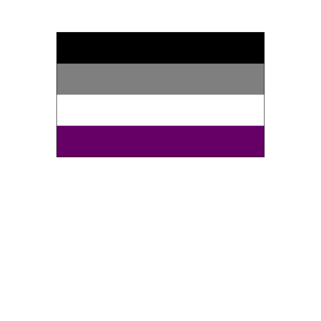 Pride - Asexual Flag 36” x 60”