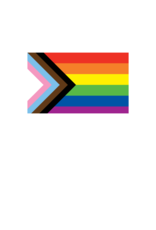 Pride - Progress Flag 36” x 60”