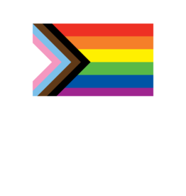 Pride - Progress Flag 36” x 60”