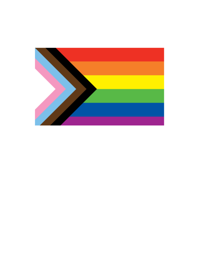 Pride - Progress Flag 36” x 60”