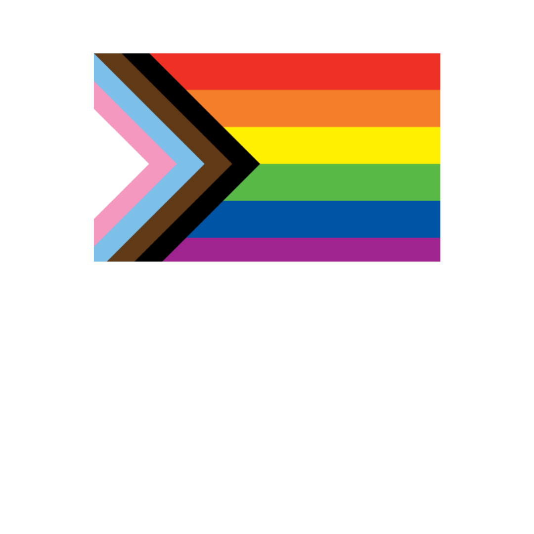 Pride - Progress Flag 36” x 60”