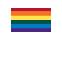 Pride - Rainbow Flag 12" x 18"