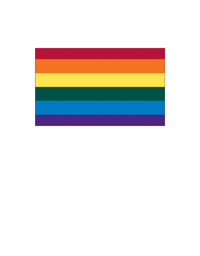 Pride - Rainbow Flag 12" x 18"
