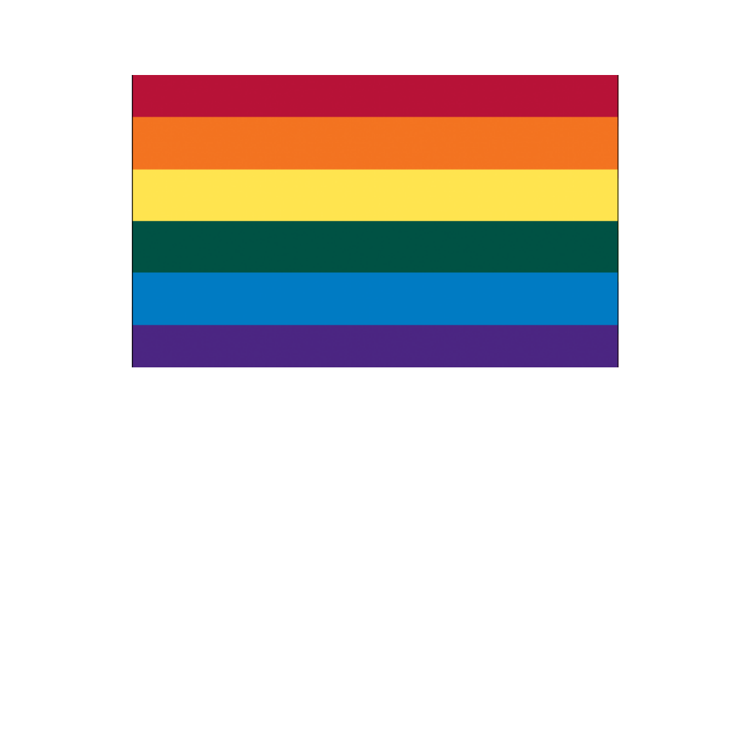 Pride - Rainbow Flag 12" x 18"