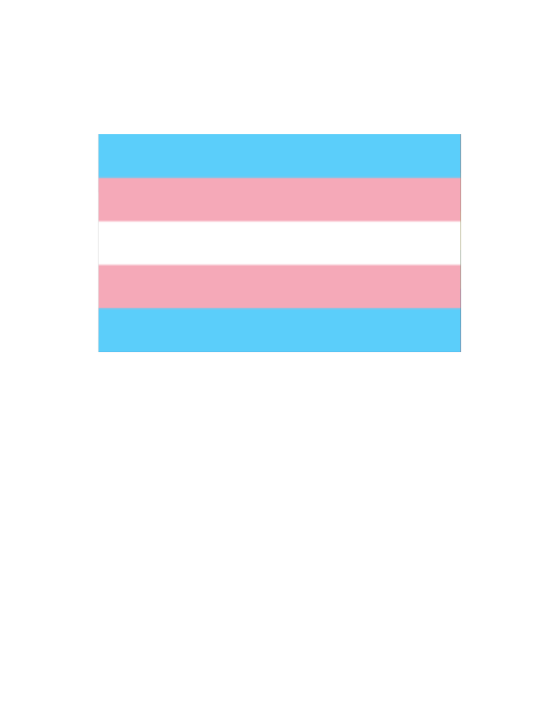 Pride - Transgender Flag 12" x 18"