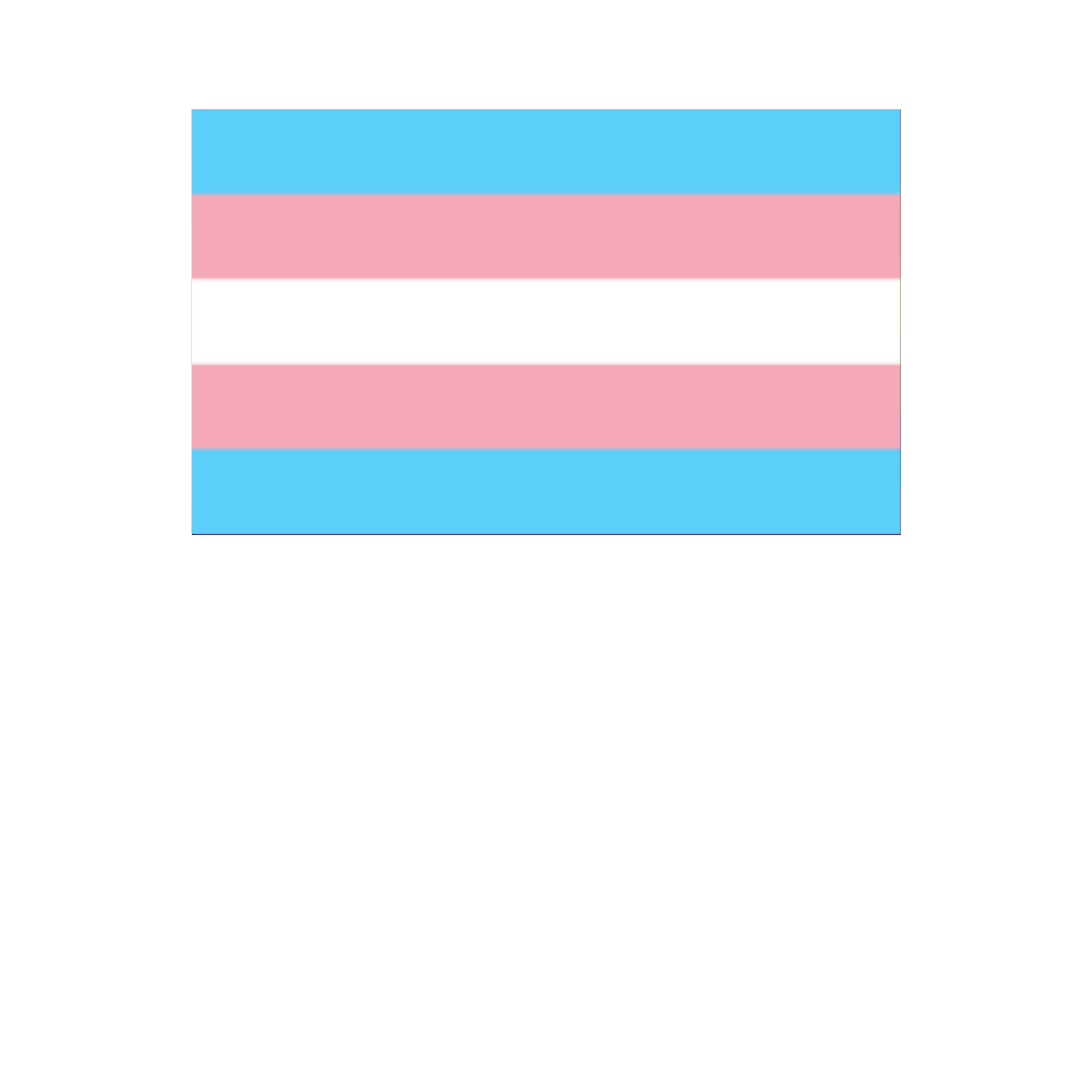 Pride - Transgender Flag 12" x 18"