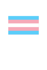 Pride - Transgender Flag 36” x 60”