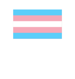 Pride - Transgender Flag 36” x 60”