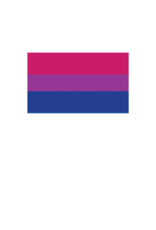 Pride - Bisexual Flag 12" x 18"