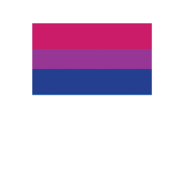 Pride - Bisexual Flag 12" x 18"