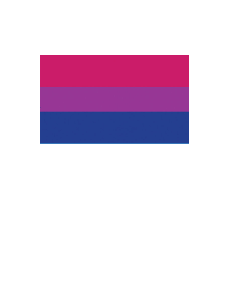 Pride - Bisexual Flag 12" x 18"