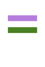 Pride - Genderqueer Flag 36” x 60”