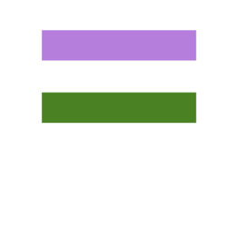 Pride - Genderqueer Flag 36” x 60”