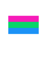 Pride - Polysexual Flag 36” x 60”
