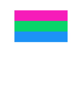 Pride - Polysexual Flag 36” x 60”
