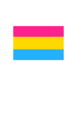 Pride - Pansexual Flag 36” x 60”