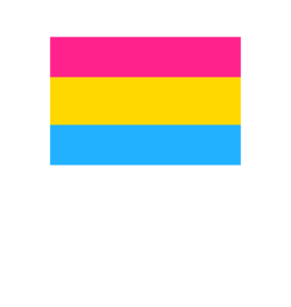 Pride - Pansexual Flag 36” x 60”