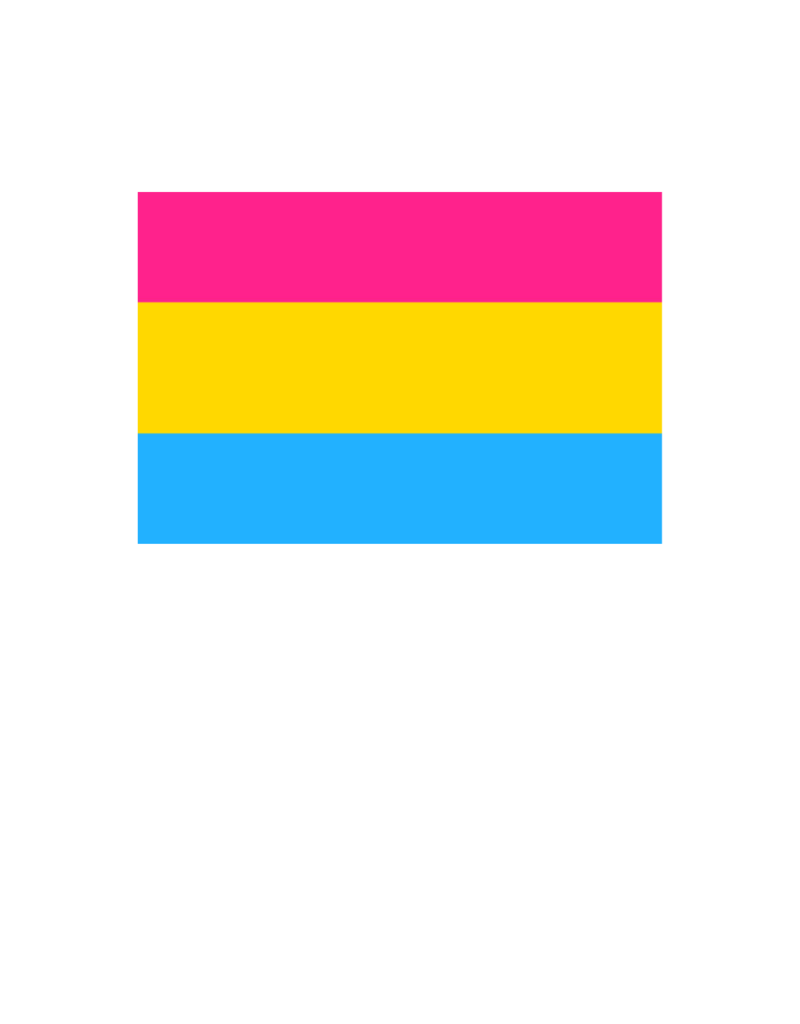 Pride - Pansexual Flag 36” x 60”
