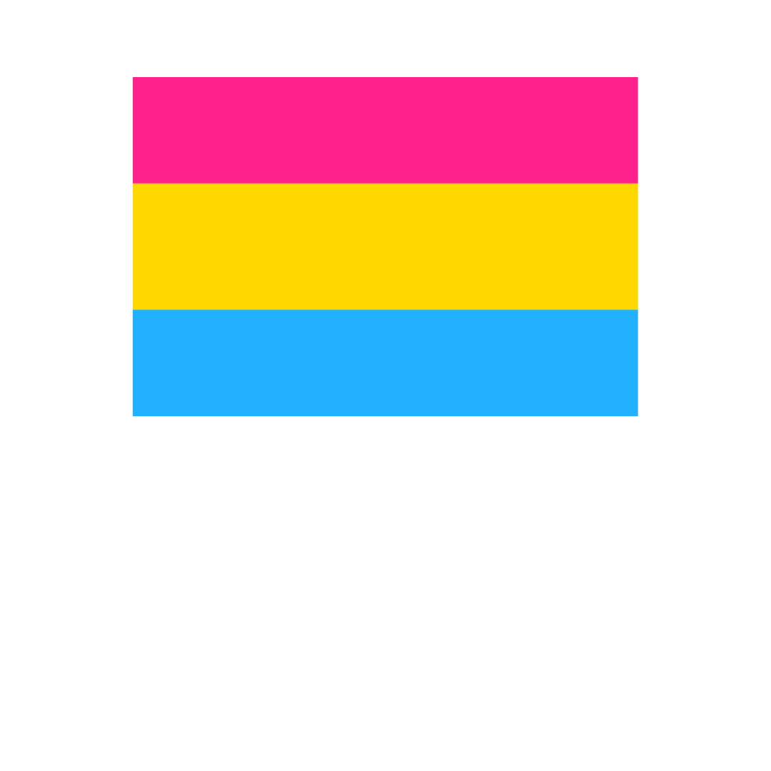 Pride - Pansexual Flag 36” x 60”