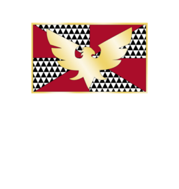 Pride - Drag Flag 36” x 60”