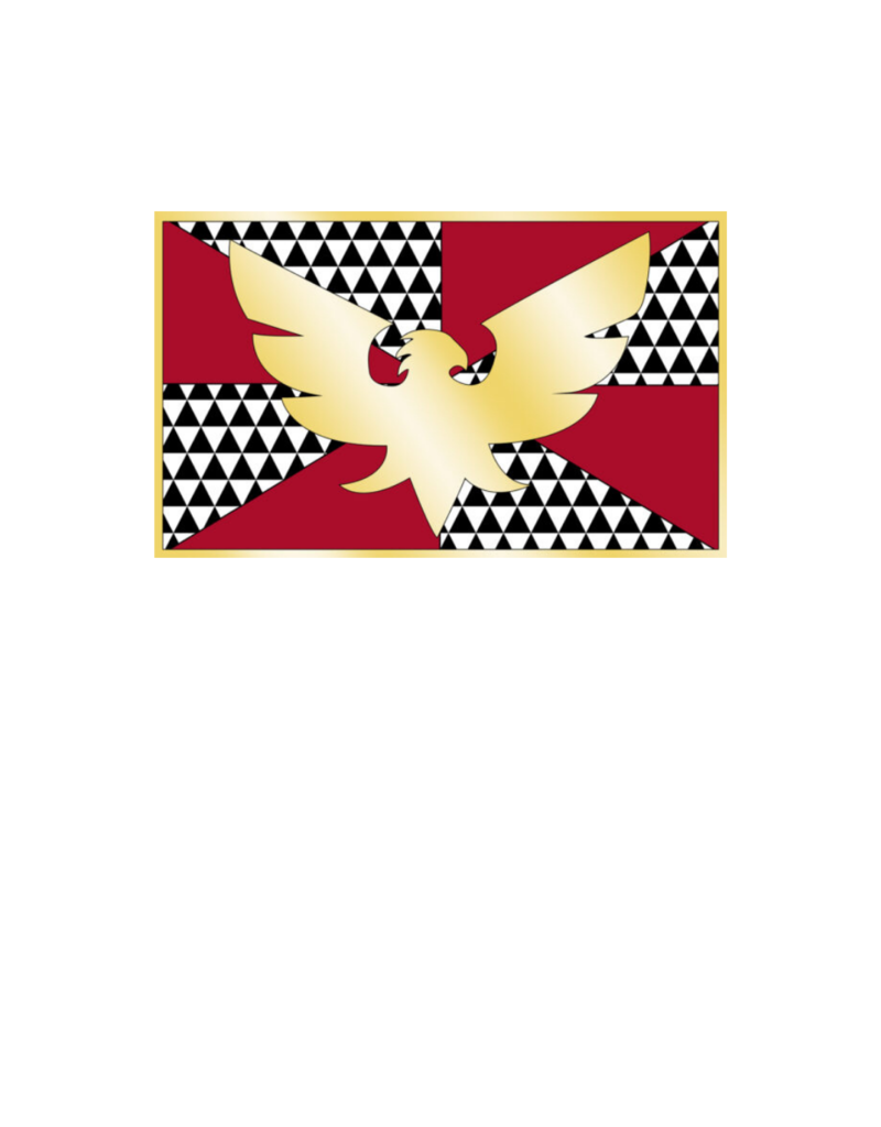 Pride - Drag Flag 36” x 60”