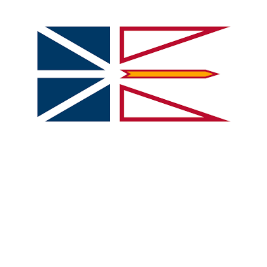 N.L - Newfoundland Flag 36” x 60”