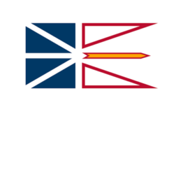 N.L. - Newfoundland Flag 12" x 18"