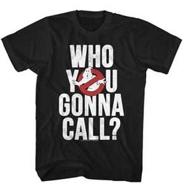Ghostbusters - Who Ya Gonna Call