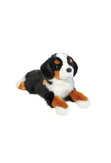 Trooper - Bernese Mountain Dog