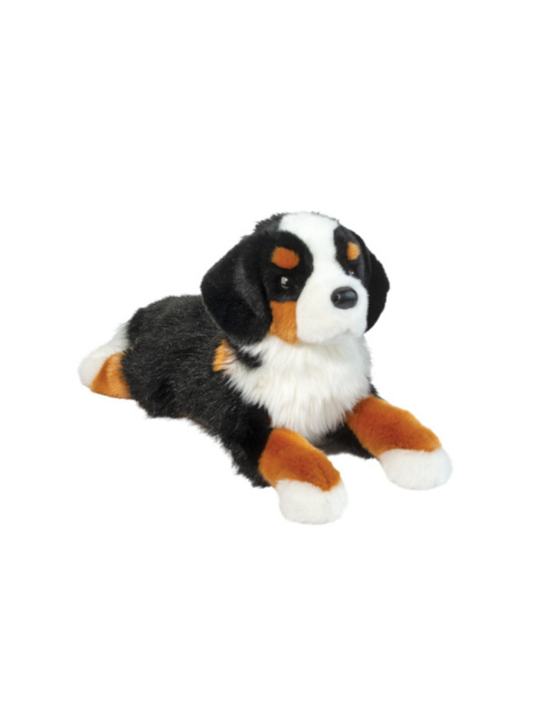 Trooper - Bernese Mountain Dog