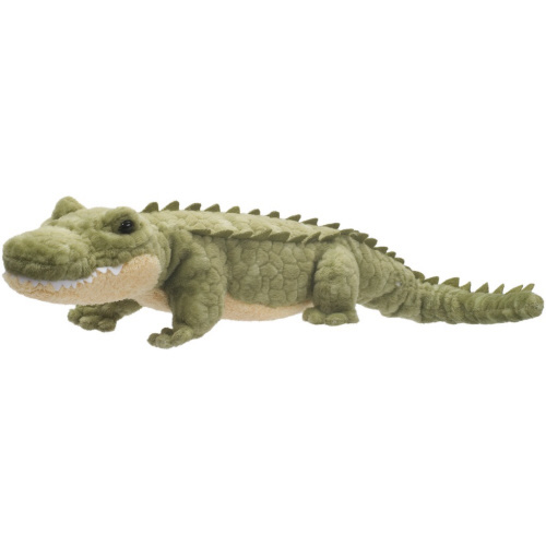 Stream Line (Alligator)